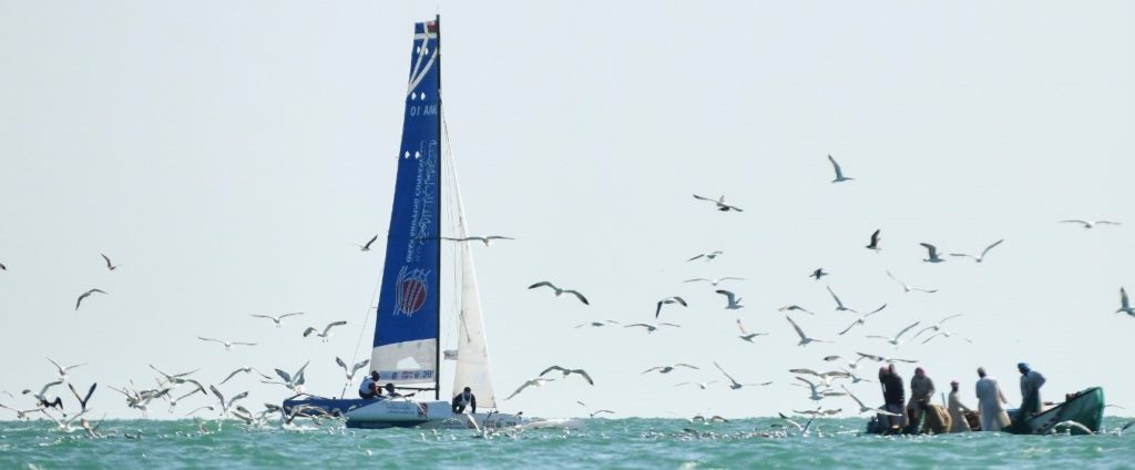 Un été Diam 24od en Bretagne